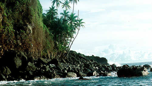 Isla del Coco aneb co ukrývá Kokosový ostrov?