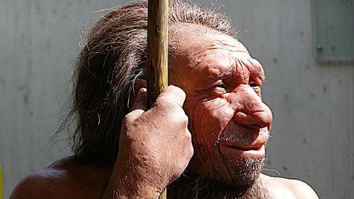 Všechno o neandertálcích