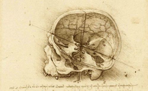 Leonardo da Vinci - anatomie