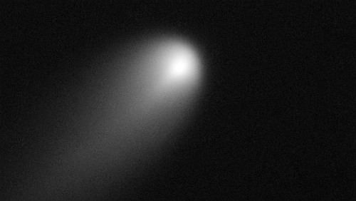 Kometa ISON na snímku z Hubblova dalekohledu.