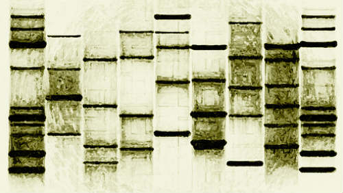 Nejstarší lidská DNA byla prozkoumána!